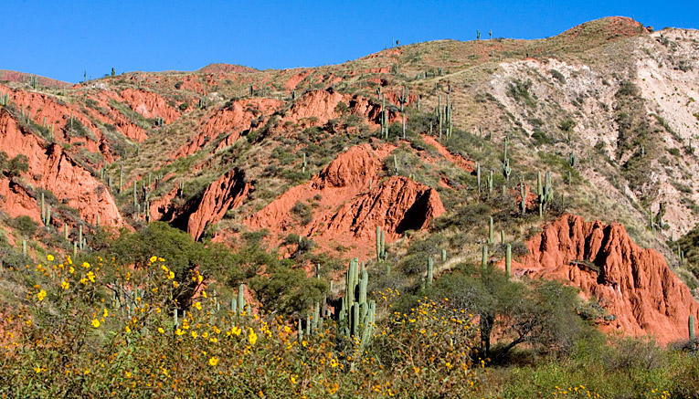 Bagi-argentina-biking-5